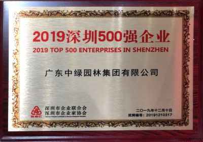 2019深圳500强企业