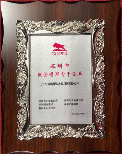 深圳市民营领军骨干企业